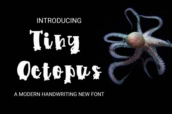 Tiny Octopus: A Display Font with Quiet Confidence